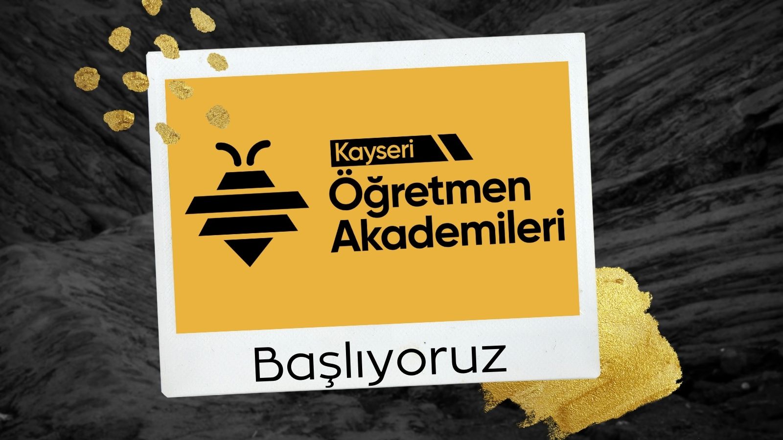 Öğretmen Akademisi Başlıyor